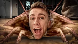 COCKROACH SIMULATOR???