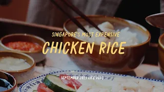 Singapore Daily Life Vlog | Violet Oon High Tea | Chatterbox Chicken Rice