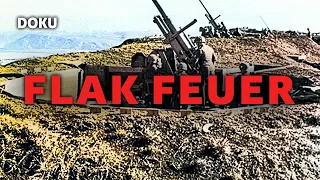 FLAK Feuer ( 2. Weltkrieg Dokumentation,  Luftangriffe Deutschland, Luftwaffe, Originalaufnahmen)