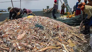 Amazng Trawl net fishing videos - Big Nets Catch a Lot of Shrimp and Fish on the Boat