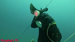 We found an old ship while on Spearfishing