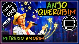 Anjo Querubim - Petrúcio Amorim - Musiokê tv+
