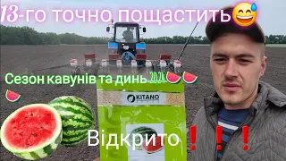 Довгожданий посів кавунів та динь в богарних умовах 2024🍉🍉🍉