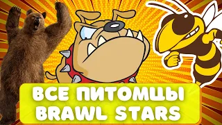 😺😸😹ВСЕ ПИТОМЦЫ #BRAWLSTARS