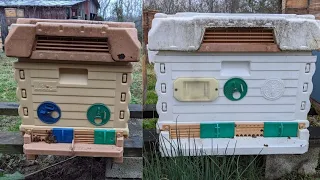 🔵Did the Insulated Apimaye Hives Survive?