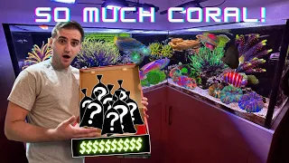 HUGE AND EXPENSIVE CORAL SHOPPING SPREE FOR SALTWATER AQUARIUM!!