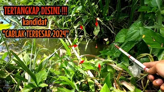 KANDIDAT CABLAK TERBESAR 2024 TERTANGKAP DI SPOT INI‼️mancing ikan red devil NAHOL MANIA