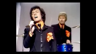 The Hollies (live performance in Stereo) - He Ain't Heavy He's My Brother  (1969)