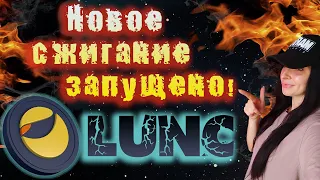 ⚡Terra Luna Classic новое сжигание запущено!!!⚡