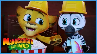 A Trip to the Cinema 🎬 | DreamWorks Madagascar