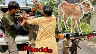 Cow Baby Chori Karny Par Waseem Sy Phadda Hogya😱