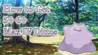 Pokemon Sword And Shield: How To Get 5+ and 6+ Max IV Ditto Location and Tips!