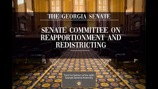 Joint Senate and House Redistricting Hearing - Brunswick - 7/26/21