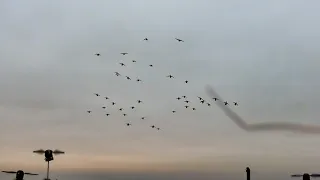 North Dakota Dry Field Beat Down - (6 MAN LIMIT)