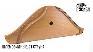 Шлемовидные, 21 струна