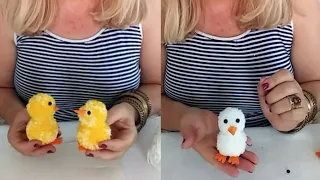 Squish from Pom Pom and Very Easy Chick Making DIY