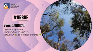 🌴 [Yves Darricau] Des arbres pour le futur