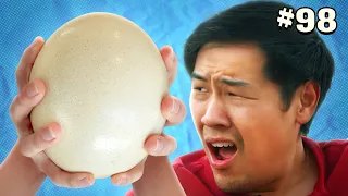 Eating a Giant Ostrich Egg - Safety Third 98