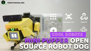 Cool Robots - Mini Pupper Open Source Robot Dog