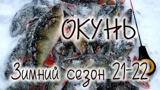 ОКУНЬ первая зимняя рыбалка сезона 21-22, на Ладожском озере Perch first winter fishing season 21-22