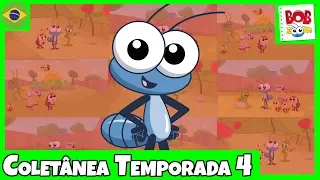 Bob Zoom Temporada 4 Completo | Vídeo Infantil Musical Oficial @BobZoom