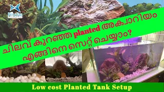 ചിലവ് കുറഞ്ഞ planted അക്വാറിയം എങ്ങിനെ സെറ്റ് ചെയ്യാം? || Low cost Planted Tank Setup || Aquascape