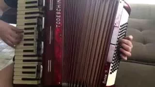 Musica CANA VERDE no accordion!!!GAITA-DE-FOLES!!!