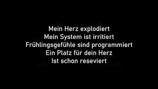 Das Modul - Frühlingsgefühle (Karaoke Version)