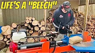 FIREWOOD | Splitting beech (yes I said BEECH) & red oak/hickory