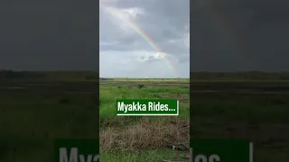 Bike Myakka! But be prepared to stop!  Ride your bike at Myakka River State Park in Sarasota.