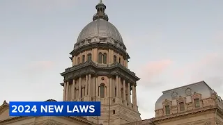 New laws Illinois 2024: Minimum wage increase, ban on book bans and more