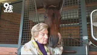 80-year-old Betty Oare competes at Washington International Horse Show