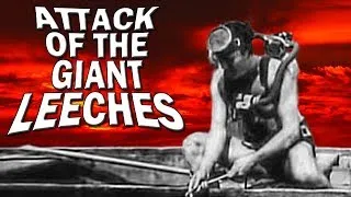 Dark Corners - Attack of the Giant Leeches: Review