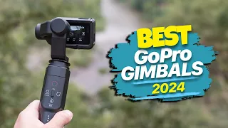 Best GoPro Gimbals 2024: Gyro Magic