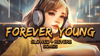 UNDRESSD - Forever Young | Slowed Reverb, Lofi Songs | Danish Rock Music)