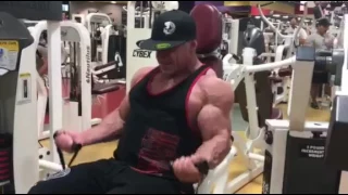 Hoist machine bicep curl