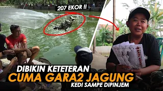 TIKET 1,5JT BAWA PULANG IKAN 207 EKOR, ADUL GEMILANG BAWA 4 AMPLOP PULANG || Am#263