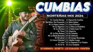 Mix de Cumbias Norteñas para Bailar Toda la Noche🎼Cumbias Norteñas🎼