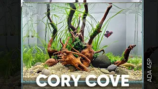 Cory Cove - Step by Step Aquascaping Tutorial