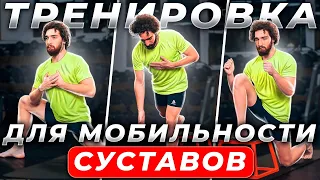 Тренировка на мобильность и подвижность. Круговая тренировка. PopUp#1