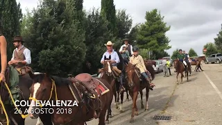 Passeggiata Equestre 2018