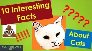 MUST WATCH!!!!Cat lovers! 10 Interesting Facts about Cats