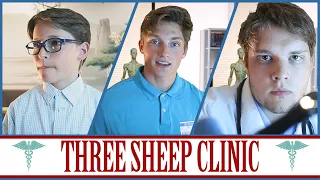 Three Sheep Clinic (Receptionist, Nurse & Doctor ASMR)