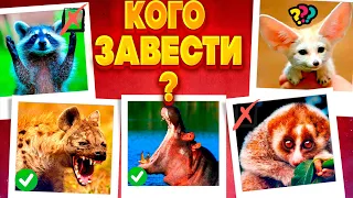 ТОП 10 Необычных Экзотических Животных, Которых Можно Завести Дома