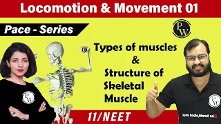 Locomotion and Movement 01 | Types of Muscles | Structure of Skeletal Muscle |  Class 11 | NEET |
