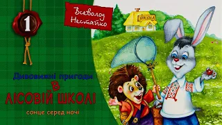 🐰Лісова школа (ч.1)🐿️Дивовижні пригоди в лісовій школі. 🌞Сонце серед ночі🌞. Всеволод Нестайко.