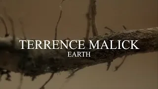 TERRENCE MALICK — EARTH