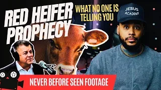 Red Heifers End times Prophecy is here! (Why aren’t Churches talking about this!!)