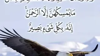 Tasfir quran sourate Al Mulk verset 19 par Imam Hassane Sar