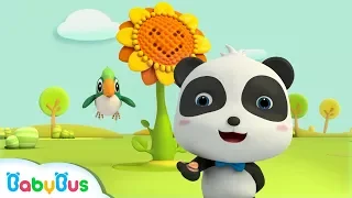 Little Panda Collects Sunflower Seed for Baby Bird | Plant a Magical Seed | BabyBus